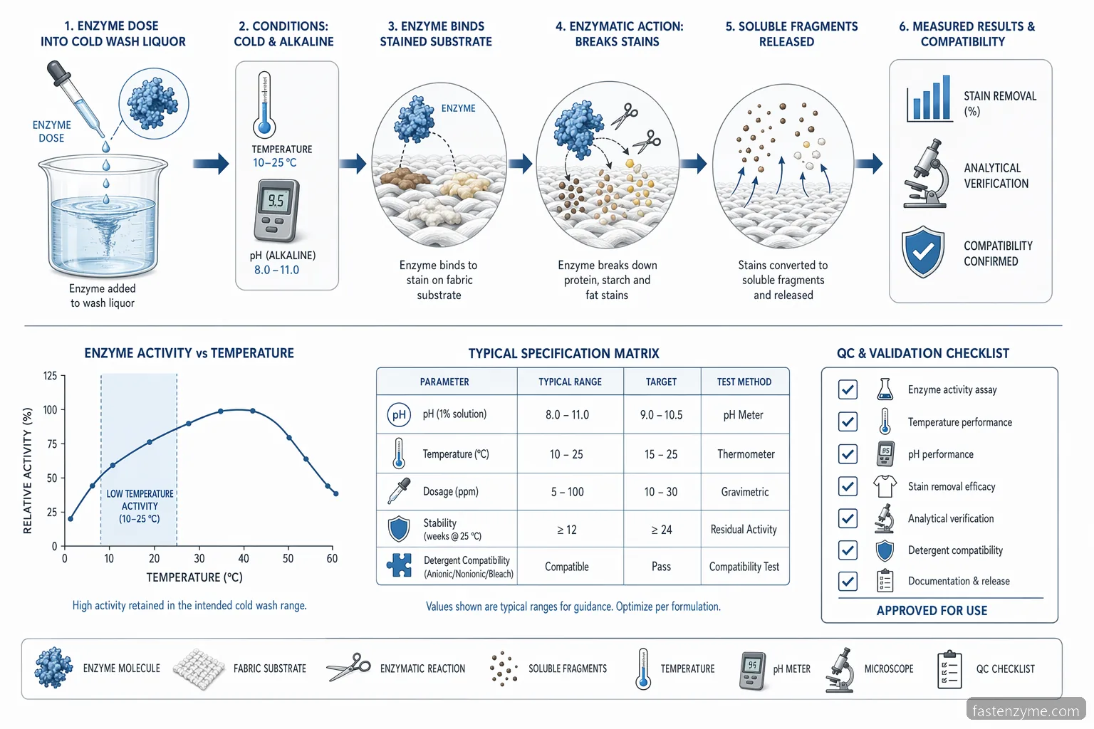 cold active enzyme for cold water detergent specification checklist showing pH, temperature, stain removal, and stability workflow